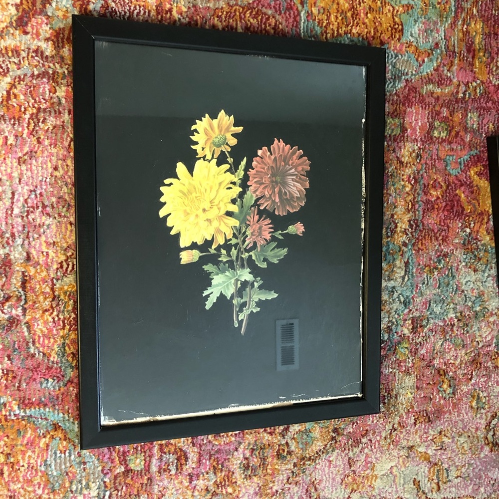 Framed Floral Art